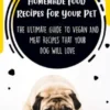 101 Homemade Food Recipes For Your Pet