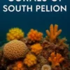 A Guide to the Corals of South Pelion