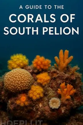 A Guide to the Corals of South Pelion