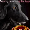 A Manual for Feeding, Naming and Caring for Dogs