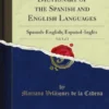 A New Pronouncing Dictionary of the Spanish and English Languages