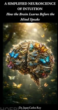 A Simplified Neuroscience of Intuition: How the Brain Learns Before the Mind Speaks