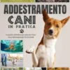 Addestramento cani in pratica
