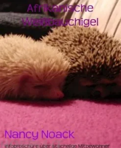 Afrikanische Weißbauchigel