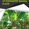 Agricultural Benefits of Postharvest Banana Plants