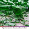 Agro Forestrium Tanaman Penetralisir Dan Pembersih Limbah Kaca Dari Hutan Nusantara (Glass Waste)