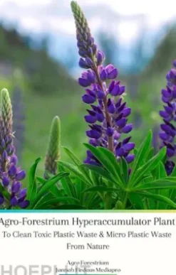 Agro-Forestrium Hyperaccumulator Plant To Clean Toxic Plastic Waste & Micro Plastic Waste From Nature