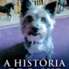 A História de Cassie