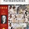 Alcoholic Fermentation