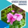 Alkaloids and Other Nitrogen-Containing Derivatives