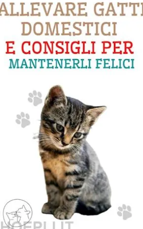 Allevare Gatti Domestici e Consigli per Mantenerli Felici