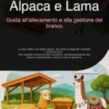 Alpaca e Lama: Guida all'allevamento e alla gestione del branco