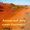 Ameise auf dem roten Kontinent