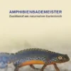 Amphibienbademeister