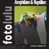 Amphibien & Reptilien