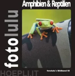 Amphibien & Reptilien