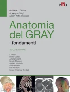 Anatomia del Gray. I fondamenti