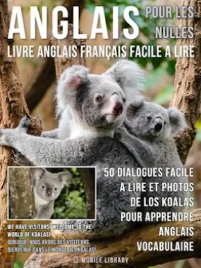 Anglais Pour Les Nulles - Livre Anglais Français Facile A Lire