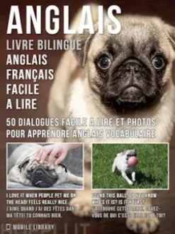 Anglais - Livre Bilingue Anglais Français Facile A Lire