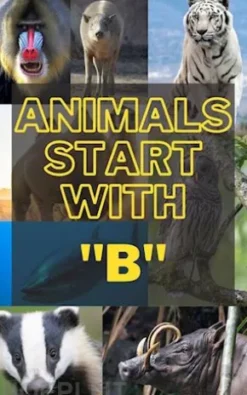 Animals that start with B