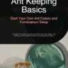 Ant Keeping Basics: Start Your Own Ant Colony and Formicarium Setup