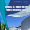 Application of Flexible AC Transmission System Devices in Wind Energy Conversion Systems