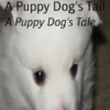 A Puppy Dog's Tail
