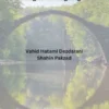 Assessing Seismic Resilience in Suspension Bridges: Nonlinear Modeling and Strategies for Mitigating Failures