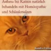 Asthma bei Katzen natürlich behandeln mit Homöopathie und Schüsslersalzen