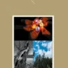 Atelier de rencontres poétiques et humaines Lueurs d'humanité
