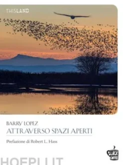 Attraverso spazi aperti