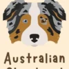 Australian Shepherd