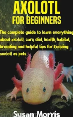 Axolotl for Beginners