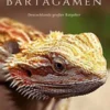 Bartagamen