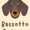 Bassotto Tedesco