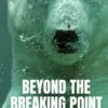 Beyond The Breaking Point