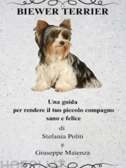 Biewer Terrier