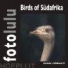 Birds of Südafrika