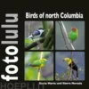 Birds of north Columbia