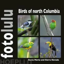 Birds of north Columbia