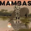 Black Mambas