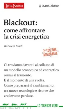 Blackout: come affrontare la crisi energetica
