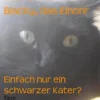 Blacky, das Einohr