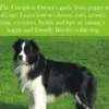 Border Collies Guide