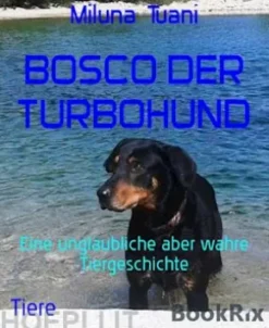 Bosco, der Turbohund