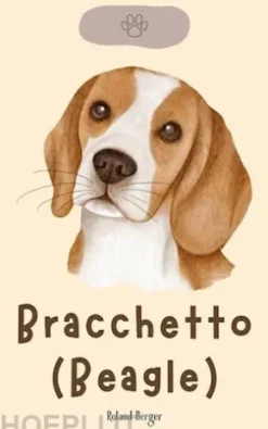 Bracchetto (Beagle)