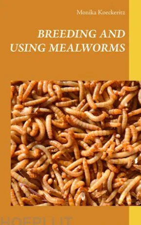 Breeding and using mealworms