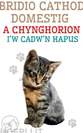 Bridio Cathod Domestig a Chynghorion i'w Cadw'n Hapus
