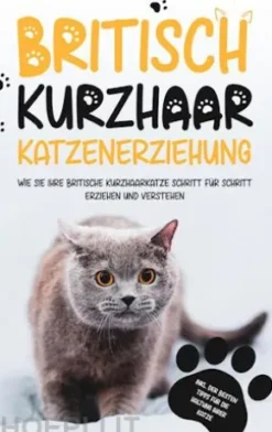 Britisch Kurzhaar Katzenerziehung: Wie Sie Ihre britische Kurzhaarkatze Schritt für Schritt erziehen und verstehen - inkl. der besten Tipps für die Haltung Ihrer Katze