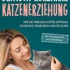 Britisch Kurzhaar Katzenerziehung